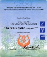 KTSA Gold