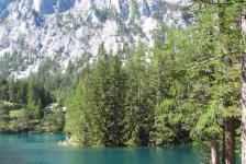 gruener_see_02