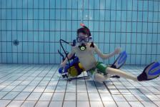 training_2012-1-20_042