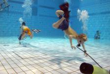 training_2012-1-20_048