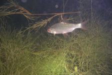 kulkwitzer640x480dscn1719