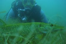 kulkwitzer640x480dscn1766k