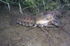 kulkwitzer640x480dscn1806