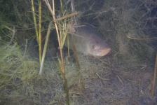 kulkwitzer640x480dscn1807