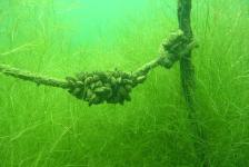 kulkwitzer640x480dscn1810