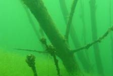 kulkwitzer640x480dscn1815