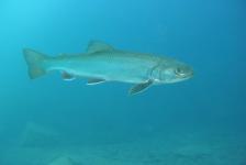 lbejnnordhausenhemmoordscn1549640x480