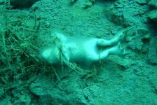 lbejnnordhausenhemmoordscn1625640x480