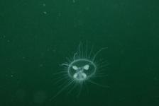 lbejnnordhausenhemmoordscn2675640x480