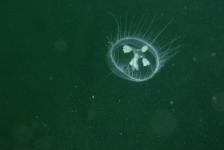 lbejnnordhausenhemmoordscn2677640x480