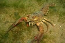 lbejnnordhausenhemmoordscn2697640x480