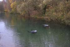 lbejnnordhausenhemmoordscn2785640x480