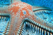 2018-10 Labin/Kroatien