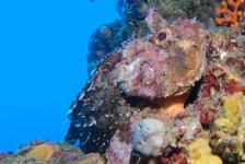 2018-10 Labin/Kroatien