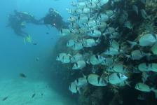 2018-10 Labin/Kroatien