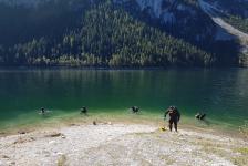 2019-09 Abtauchen Gosausee