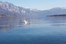 2019-03 Attersee - Hausboot