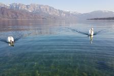 2019-03 Attersee - Hausboot