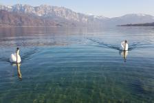 2019-03 Attersee - Hausboot