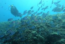 2019-10 Labin Kroatien