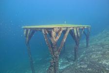 2024-03 Attersee Dixi