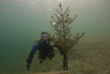 abschlusstauchen_2011_04