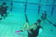 dsj_schnuppertauchen_2011-06_10