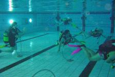 dsj_schnuppertauchen_2011-06_11