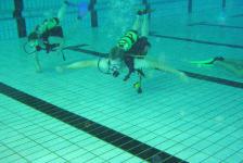 dsj_schnuppertauchen_2011-06_12