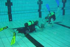 dsj_schnuppertauchen_2011-06_13