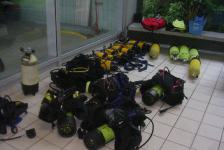 dsj_schnuppertauchen_2011-06_16