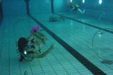 dsj_schnuppertauchen_2011-06_9